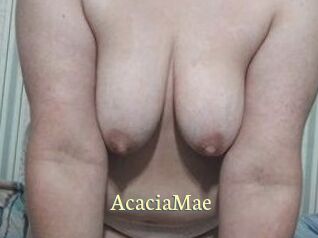 AcaciaMae