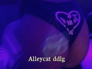 Alleycat_ddlg