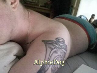 Alphie_Dog