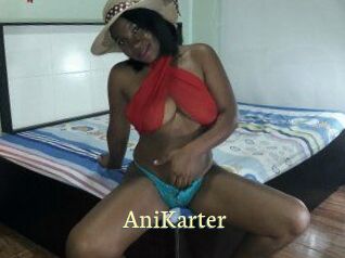 AniKarter