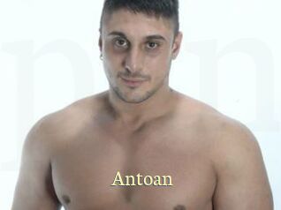 Antoan