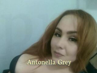 Antonella_Grey