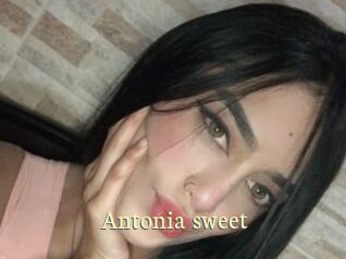 Antonia_sweet