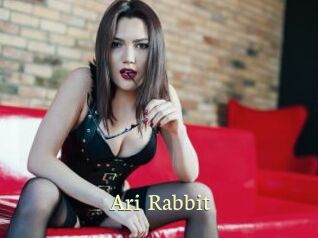 Ari_Rabbit