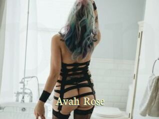 Avah_Rose