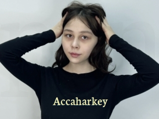 Accaharkey