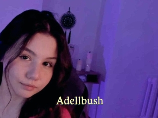 Adellbush