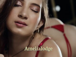 Amelialodge