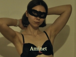 Aminet