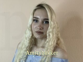 Amitybucker