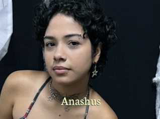 Anashus