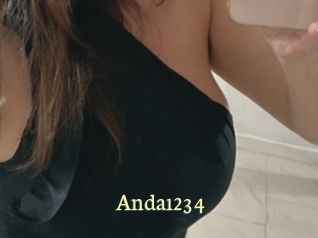 Anda1234