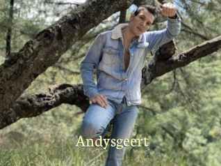 Andysgeert