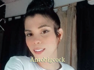 Antobigcock