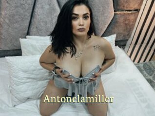 Antonelamiller