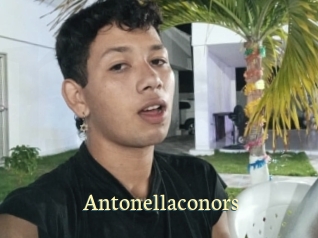 Antonellaconors