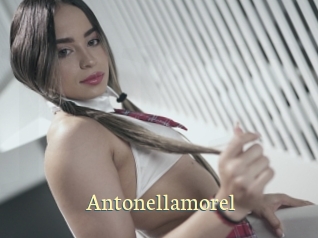 Antonellamorel