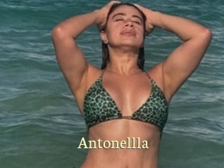 Antonellla