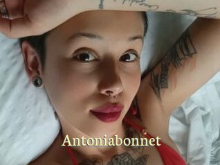 Antoniabonnet