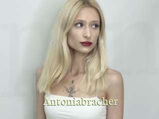 Antoniabracher