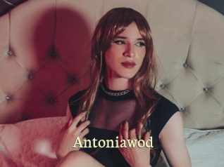 Antoniawod