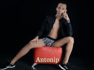 Antonip