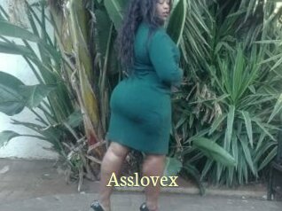 Asslovex