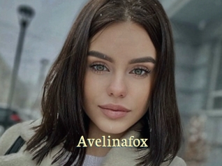 Avelinafox