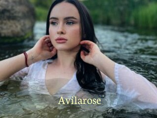 Avilarose