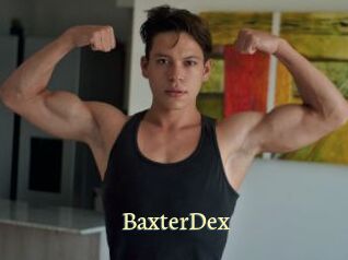 BaxterDex