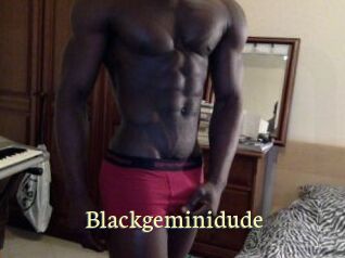 Blackgeminidude