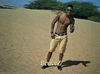 BruceZ