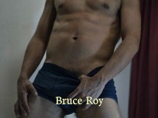 Bruce_Roy