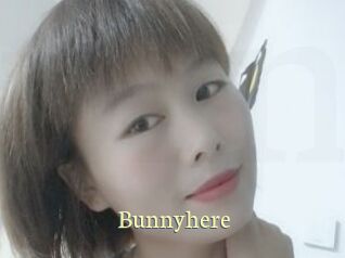 Bunnyhere