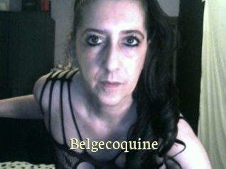 Belgecoquine