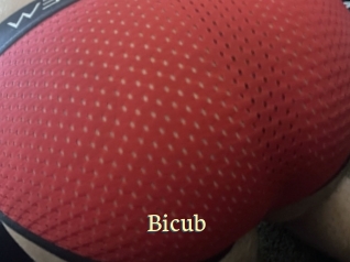 Bicub