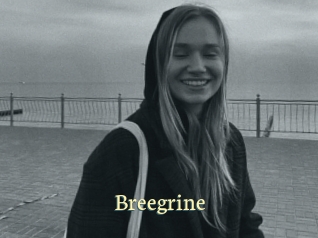 Breegrine