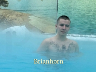 Brianhorn