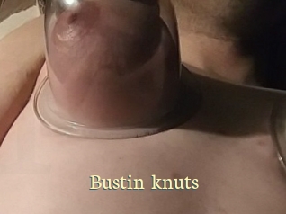 Bustin_knuts