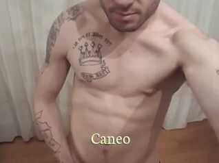 Caneo