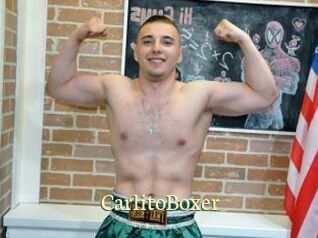 CarlitoBoxer