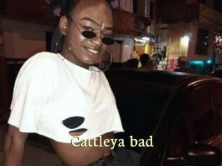 Cattleya_bad