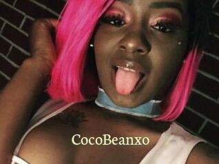 CocoBeanxo