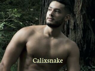 Calixsnake