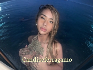 Candiceferragamo