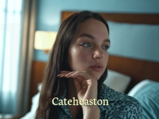 Cateheaston