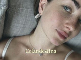 Cclandestina