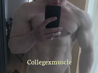 Collegexmuscle