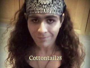 Cottontail28