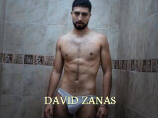 DAVID_ZANAS